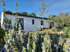 Maison moderne avec jardin et jacuzzi